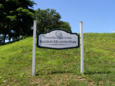 Baldwin Meadows