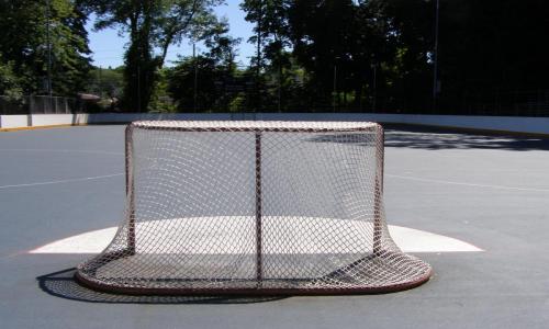 Michael Geary Rink